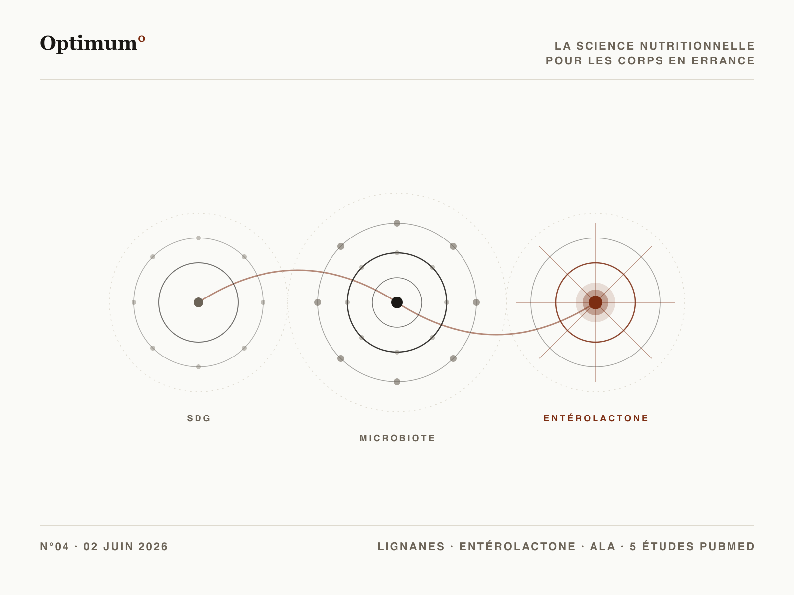 Optimum° N°04 — cascade microbiote graines de lin