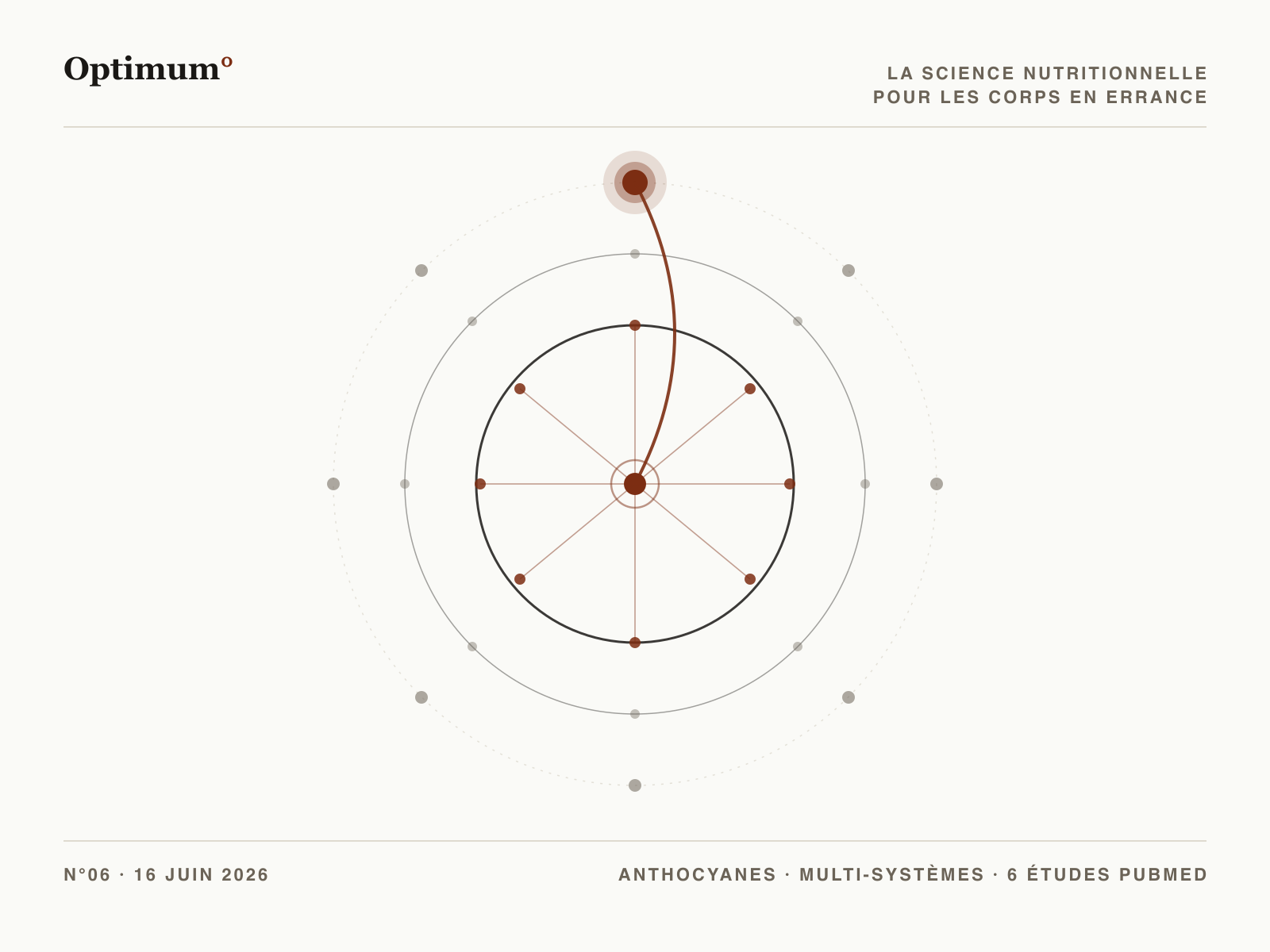 Optimum N06 : un pigment anthocyane qui irrigue plusieurs systemes et marqueurs