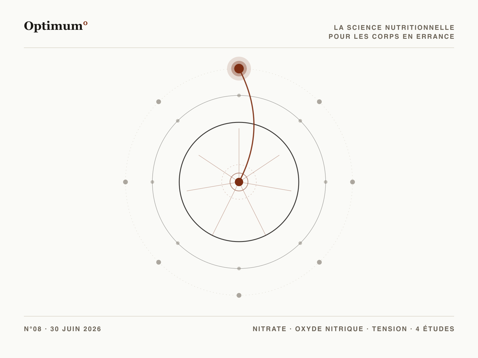 Optimum° N°08 — betterave et oxyde nitrique