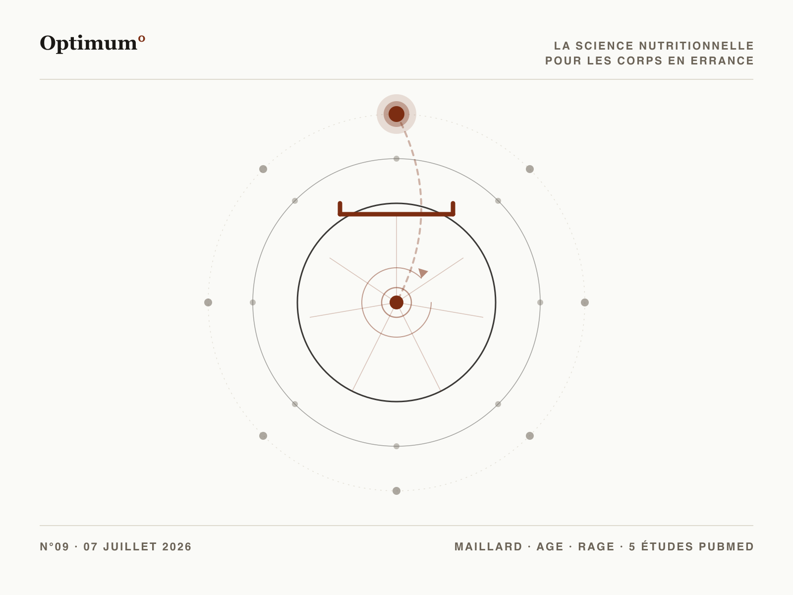 Optimum° N°09, réaction de Maillard, AGE et glycation