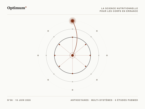 Optimum N06 : un pigment anthocyane qui irrigue plusieurs systemes et marqueurs