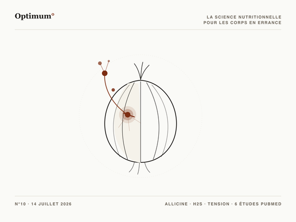 Optimum° N°10 — l'allicine, la molécule de la blessure