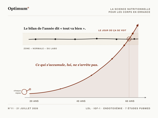 Optimum° N°11 - le bilan plat vs la courbe cachee qui s'accumule
